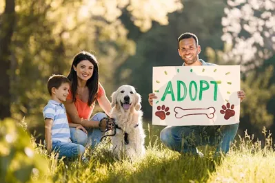 The Ultimate 2025 Guide to Pet Adoption: Everything You Need to Know