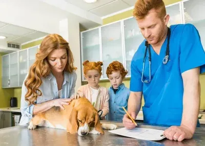 Budget Pet Clinics and Low-Cost Emergency Vet Services